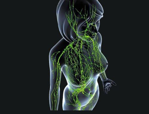 ¿Qué sabemos de la linfa y el sistema linfático?